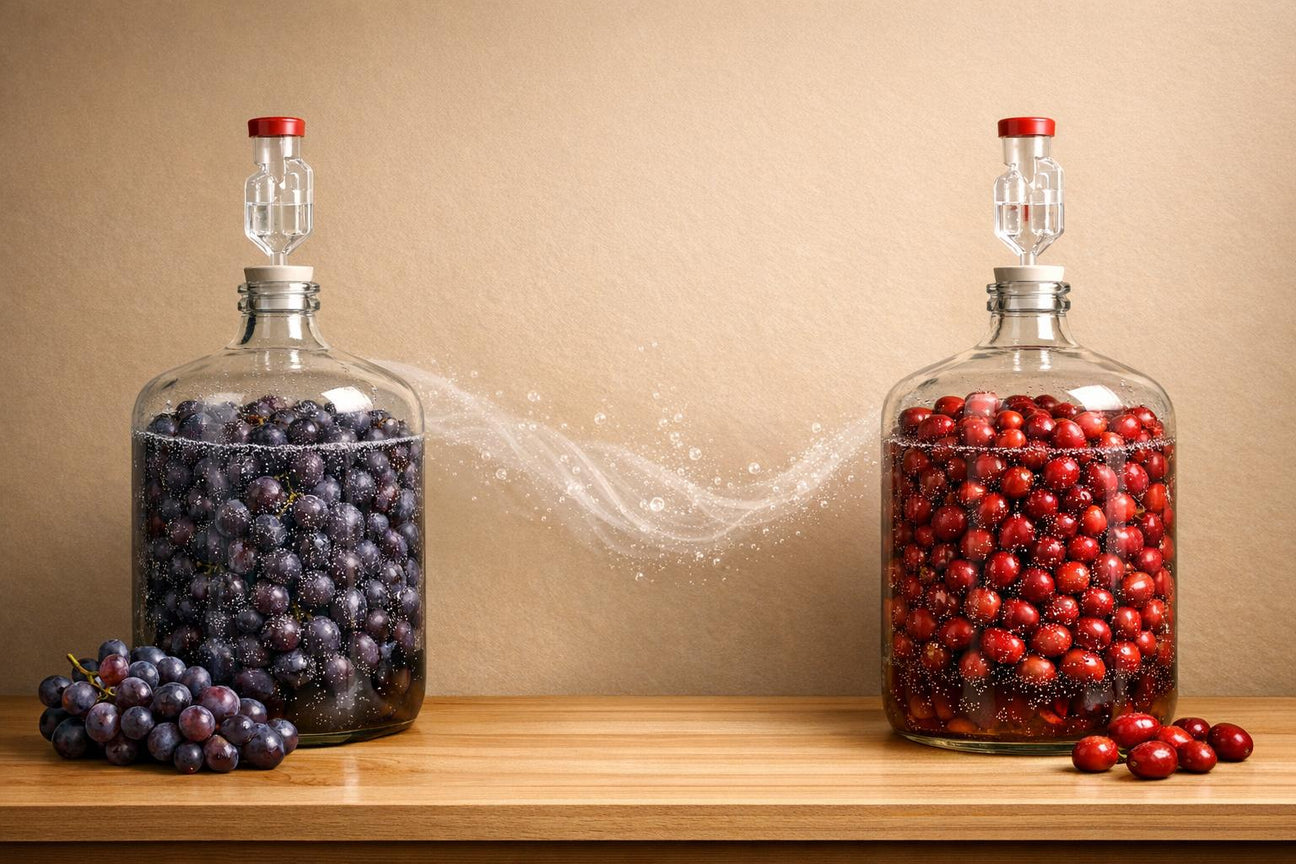 Carbonic Maceration: History and Evolution