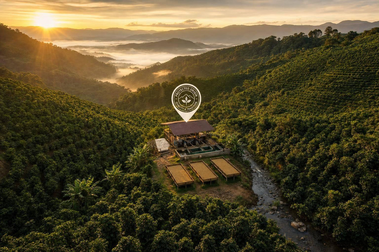 How GI Protects Coffee Origins and Traditions