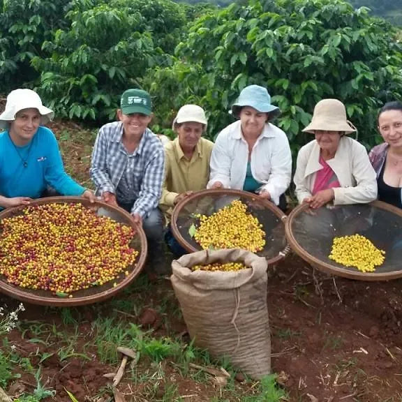 Brazil Eagle Carmelo coffee beans ready to brew for morning devotions and a daily quiet time