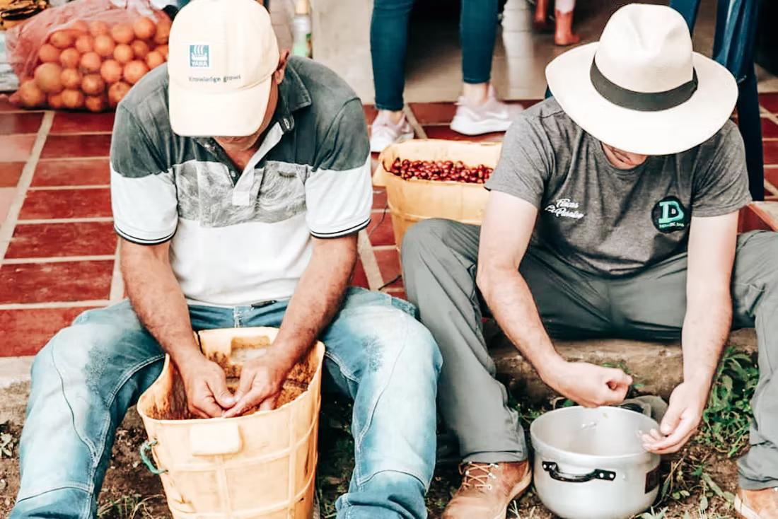 Colombia El Buho Sugarcane Decaf