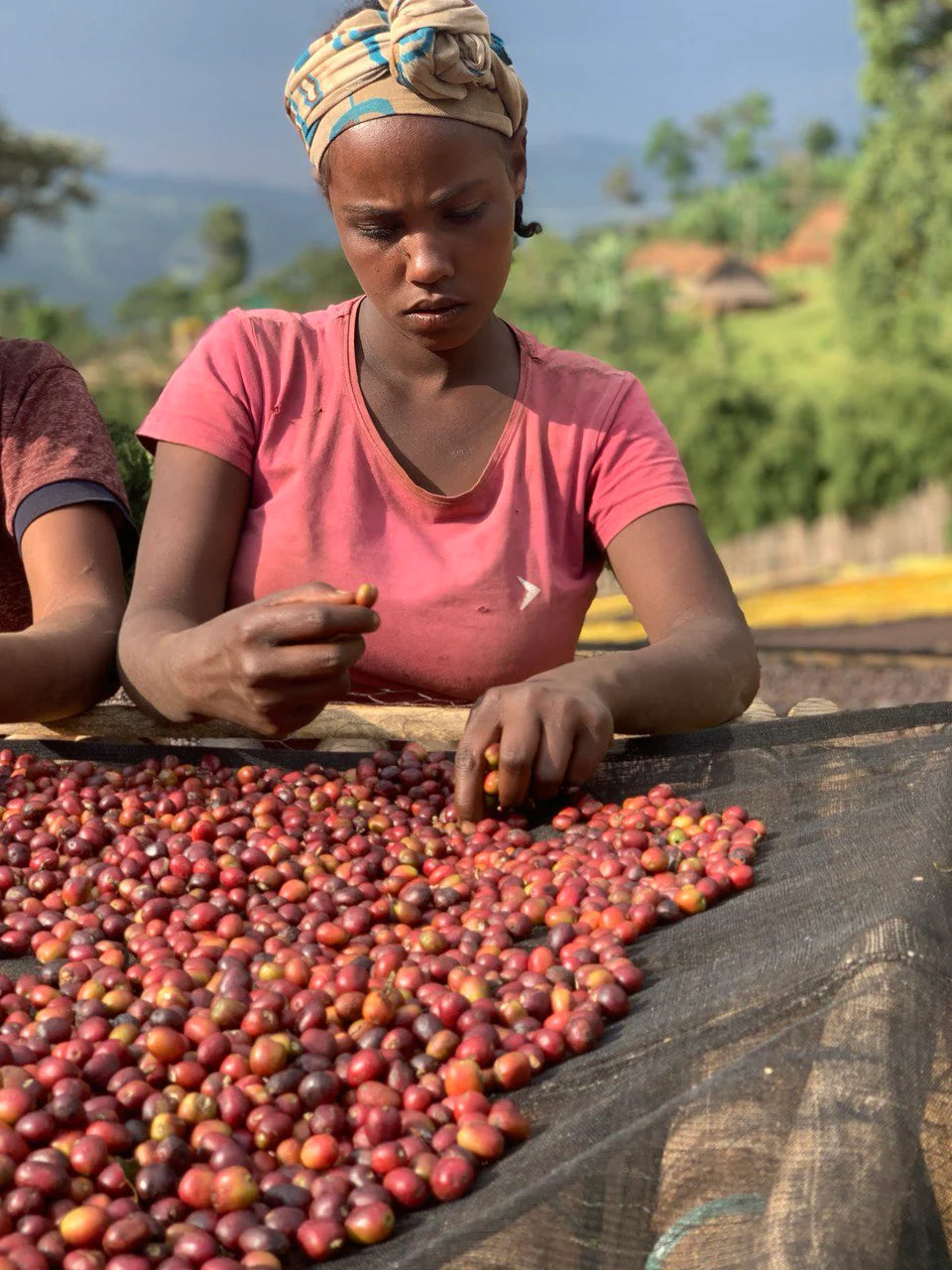 Ethiopia | Lala Salama | DECAF