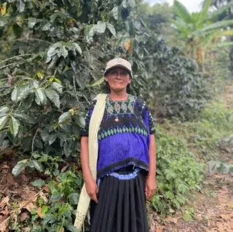 Mexico Finca La Laja DECAF