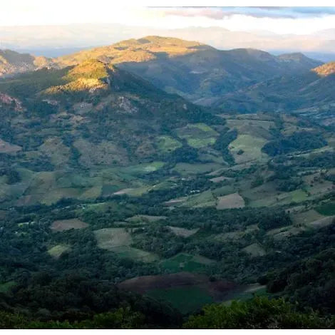 Nicaragua Las Naranjas