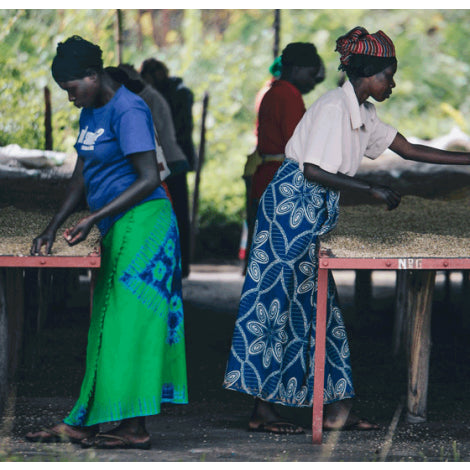 Rwanda - Kundwa Women's Coffee image 0